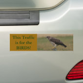 B10 Swainson's Havik Bumpersticker (Op auto)