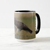 B10 Swainson's Hawk Mok (Voorkant rechts)