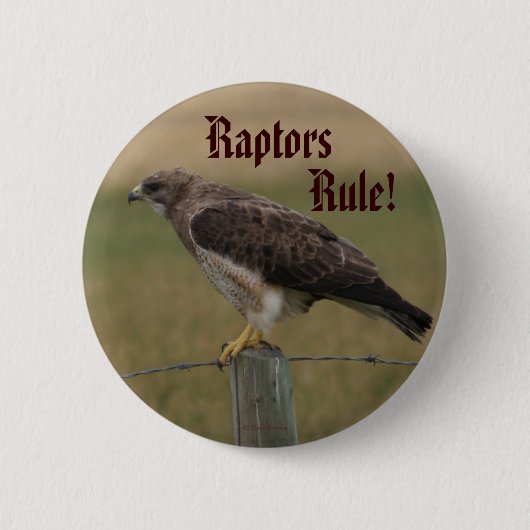 B10 Swainson's Hawk Ronde Button 5,7 Cm (Voorkant)