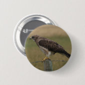B10 Swainson's Hawk Ronde Button 5,7 Cm (Voorkant /achterkant)