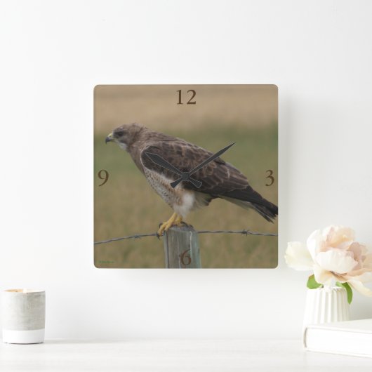 B10 Swainson's Hawk Vierkante Klok (Huis)