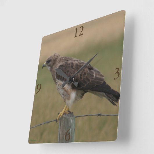 B10 Swainson's Hawk Vierkante Klok (Hoek)