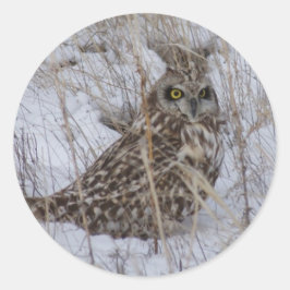 B11 Veldooruil Ronde Sticker