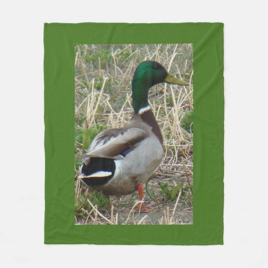B12 Mallard Duck Drake Fleece Deken (Voorkant)