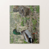 B12 Mallard Ducks Legpuzzel (Verticaal)
