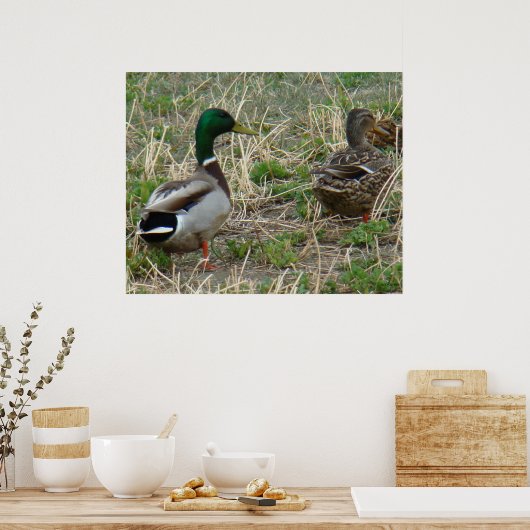 B12 Mallard Ducks Pair Poster (Keuken)