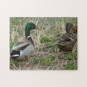 B12 Wilde Eenden Legpuzzel
