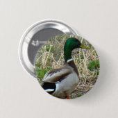 B12 woerdrake ronde button 5,7 cm (Voorkant /achterkant)
