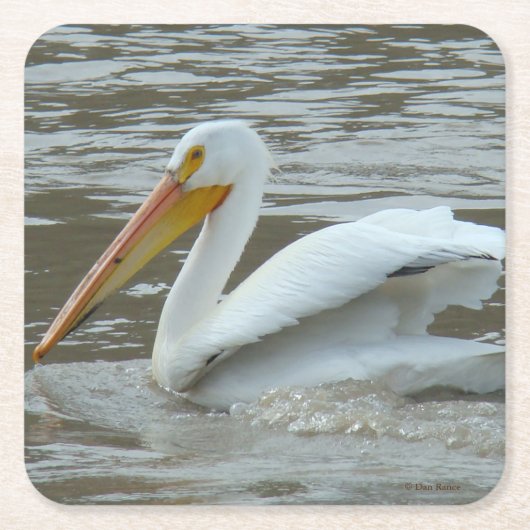 B14 White Pelican Kartonnen Onderzetters (Voorkant)