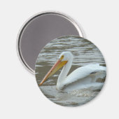 B14 White Pelican Magneet (Voorkant / Achterkant)