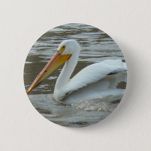 B14 White Pelican Ronde Button 5,7 Cm (Voorkant)