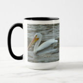 B14 Witte pelikaan op de rivier de Muddy Mok (Links)