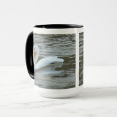 B14 Witte pelikaan op de rivier de Muddy Mok (Voorkant links)