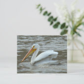 B14 Witte Pelikaan op Modderige Rivier Briefkaart (Staand voorkant)