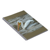 B14 Witte Pelikaan op Modderige Rivier Notitieboek (Rechterzijde)