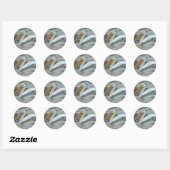 B14 Witte Pelikaan Ronde Sticker (Vel)