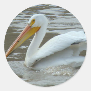 B14 Witte Pelikaan Ronde Sticker