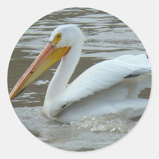 B14 Witte Pelikaan Ronde Sticker (Voorkant)