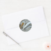 B14 Witte Pelikaan Ronde Sticker (Envelop)