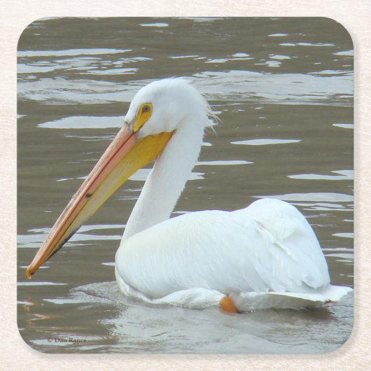 B15 White Pelican Kartonnen Onderzetters (Voorkant)