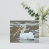 B15 White Pelican on Muddy Water Briefkaart (Staand voorkant)