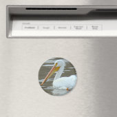 B15 White Pelican on Muddy Water Magneet (Insitu (Vaatwasser))