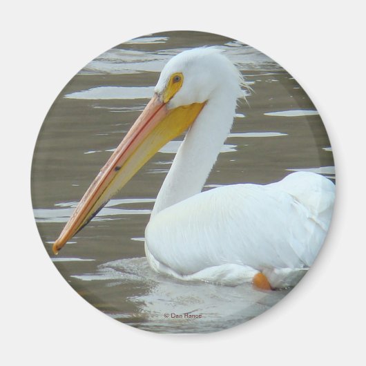 B15 White Pelican on Muddy Water Magneet (Voorkant)