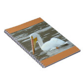 B15 White Pelican on Muddy Water Notitieboek (Rechterzijde)