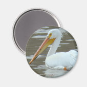 B15 Witte Pelikaan op Modderig Water Magneet (Voorkant / Achterkant)
