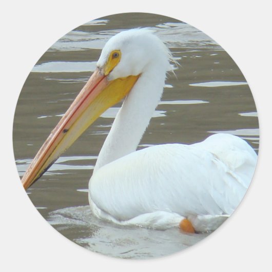 B15 Witte Pelikaan Ronde Sticker (Voorkant)