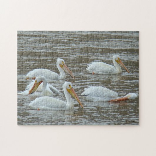 B16 Witte Pelikanen Legpuzzel (Horizontaal)