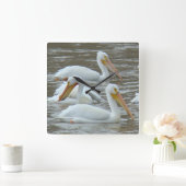 B16 Witte pelikanen op de rivier de Muddy Vierkante Klok (Huis)