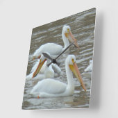 B16 Witte pelikanen op de rivier de Muddy Vierkante Klok (Hoek)