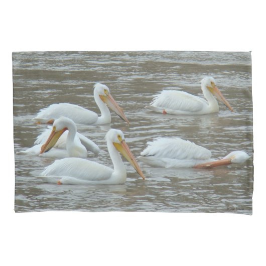B16 Witte pelikanen op modderige rivier Kussensloop (Voorkant)