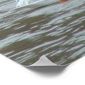 B16 Witte pelikanen op modderige rivier Poster (Hoek)