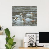 B16 Witte pelikanen op modderige rivier Poster (Thuiskantoor)