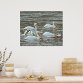 B16 Witte pelikanen op modderige rivier Poster (Keuken)