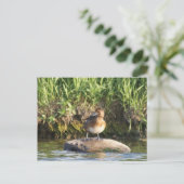 B18 Kleine Topper Briefkaart (Staand voorkant)