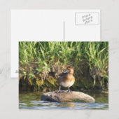 B18 Kleine Topper Briefkaart (Voorkant / Achterkant)
