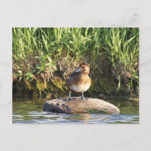 B18 Kleine Topper Briefkaart (Voorkant)