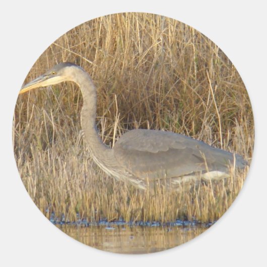 B19 Blauwe Reiger Jong Ronde Sticker (Voorkant)