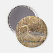 B19 Blue Heron Juvenile Magneet (Voorkant / Achterkant)