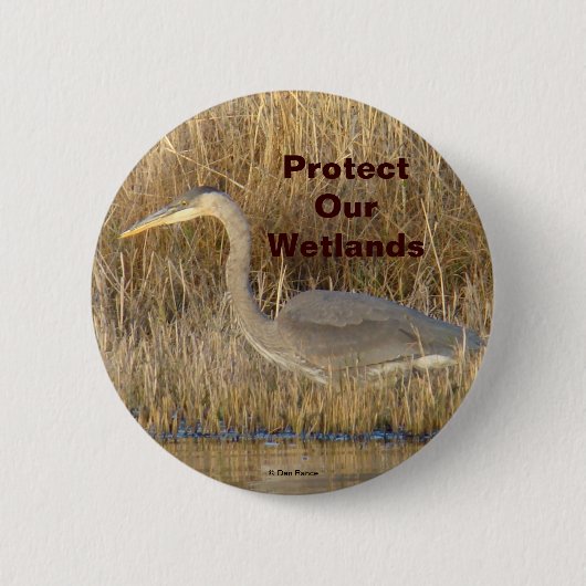 B19 Great Blue Heron Juvenile Ronde Button 5,7 Cm (Voorkant)