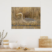 B19 Grote Blauwe Blauwe Heron Poster (Keuken)