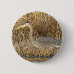 B19 Grote Blauwe Reiger Jong Ronde Button 5,7 Cm
