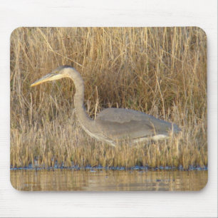 B19 Juveniele Grote Blauwe Reiger Muismat