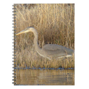 B19 Juveniele Grote Blauwe Reiger Notitieboek