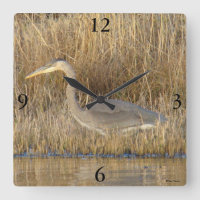 B19 Juveniele Grote Blauwe Reiger