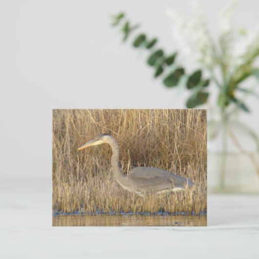 B19 Juvenile Blue Heron Briefkaart (Staand voorkant)