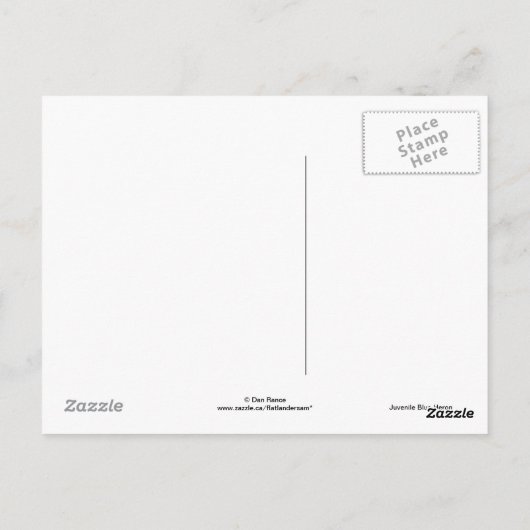 B19 Juvenile Blue Heron Briefkaart (Achterkant)